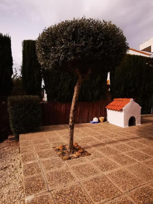 Paraiso Holiday home Ecija