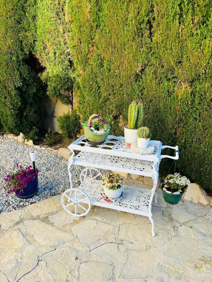 Apartment Balcon Al Mar *