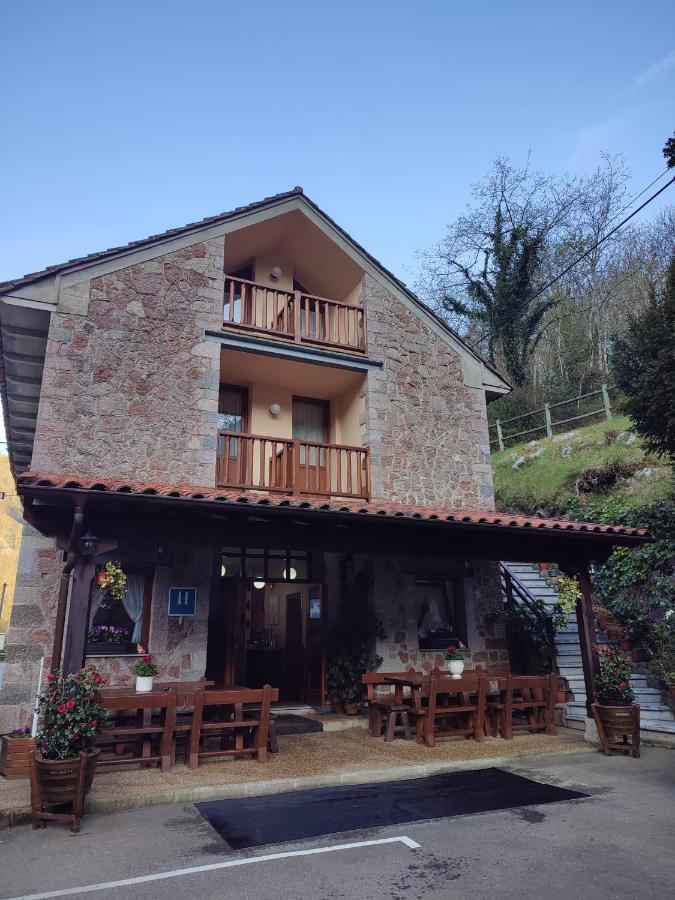 La Salmonera Hotel Caño