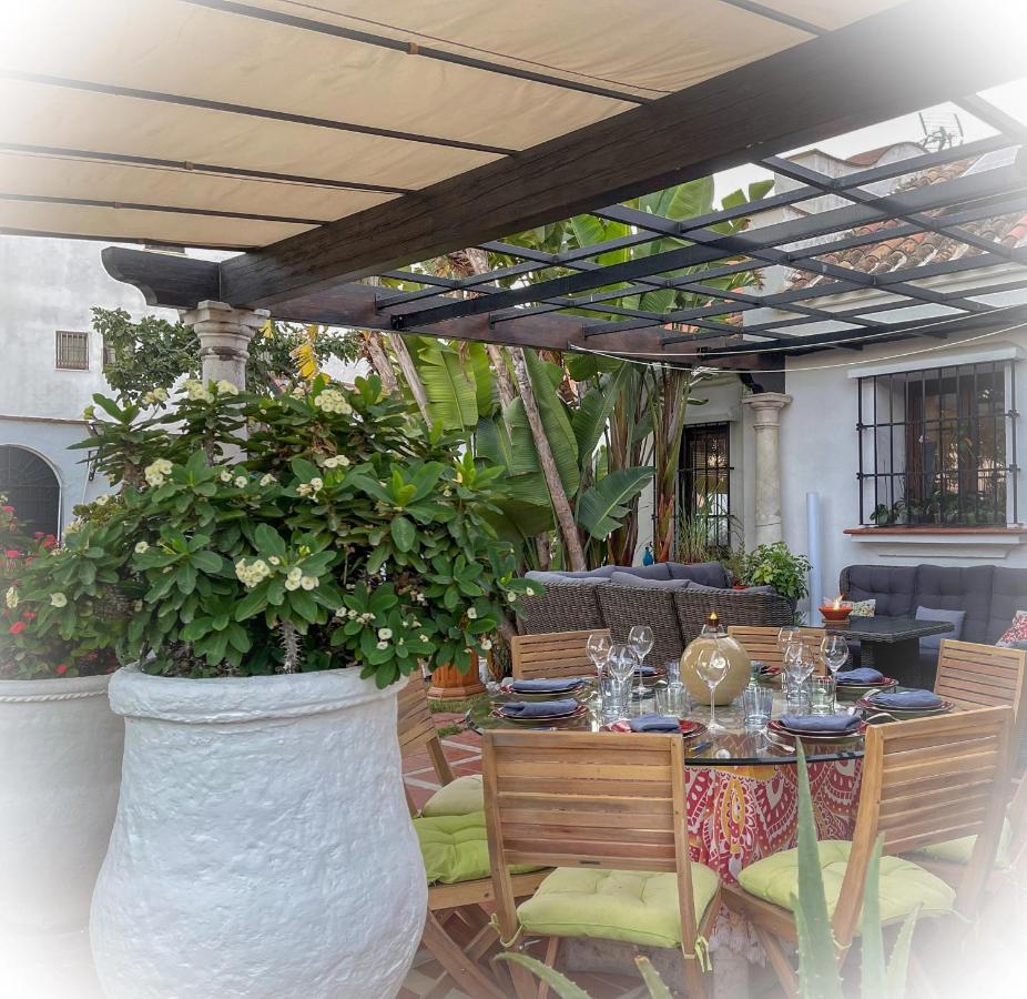 Terra Aloe Pensión Torremolinos