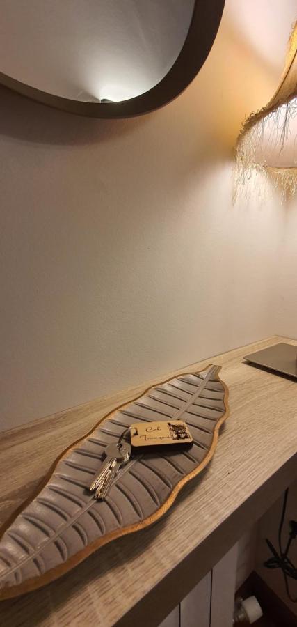 Cal Tranquil Camprodon, Acollidor Atic Al Centre *