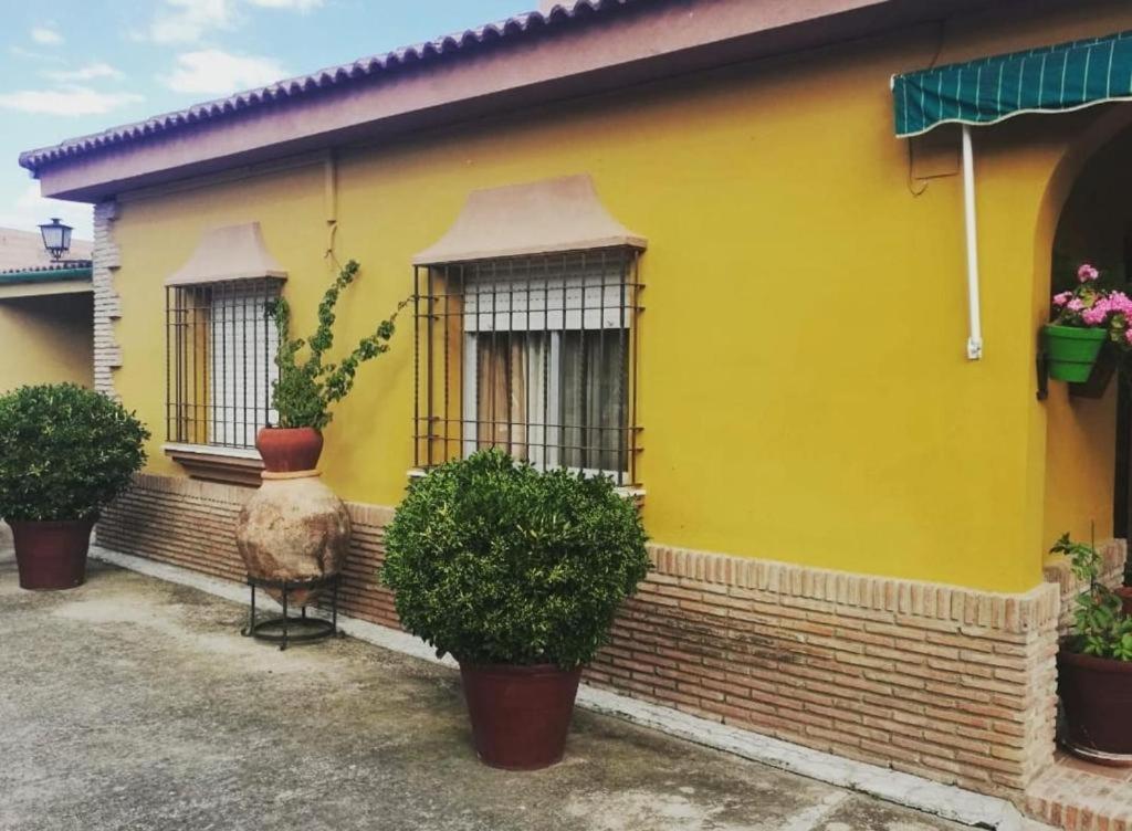 Сasa de vacaciones Dama Rural Posadas