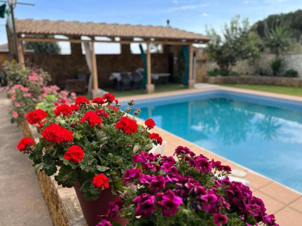Сasa de vacaciones Dama Rural