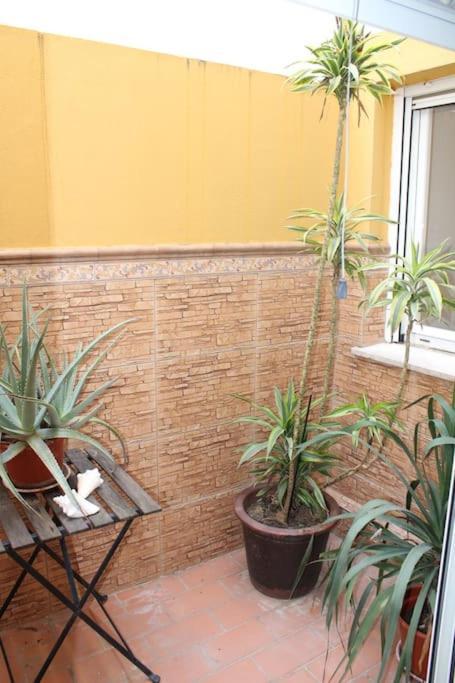 Apartment Centro De Ayamonte. Junto Al Rio Guadiana Y Nuevo Puerto Deportivo.