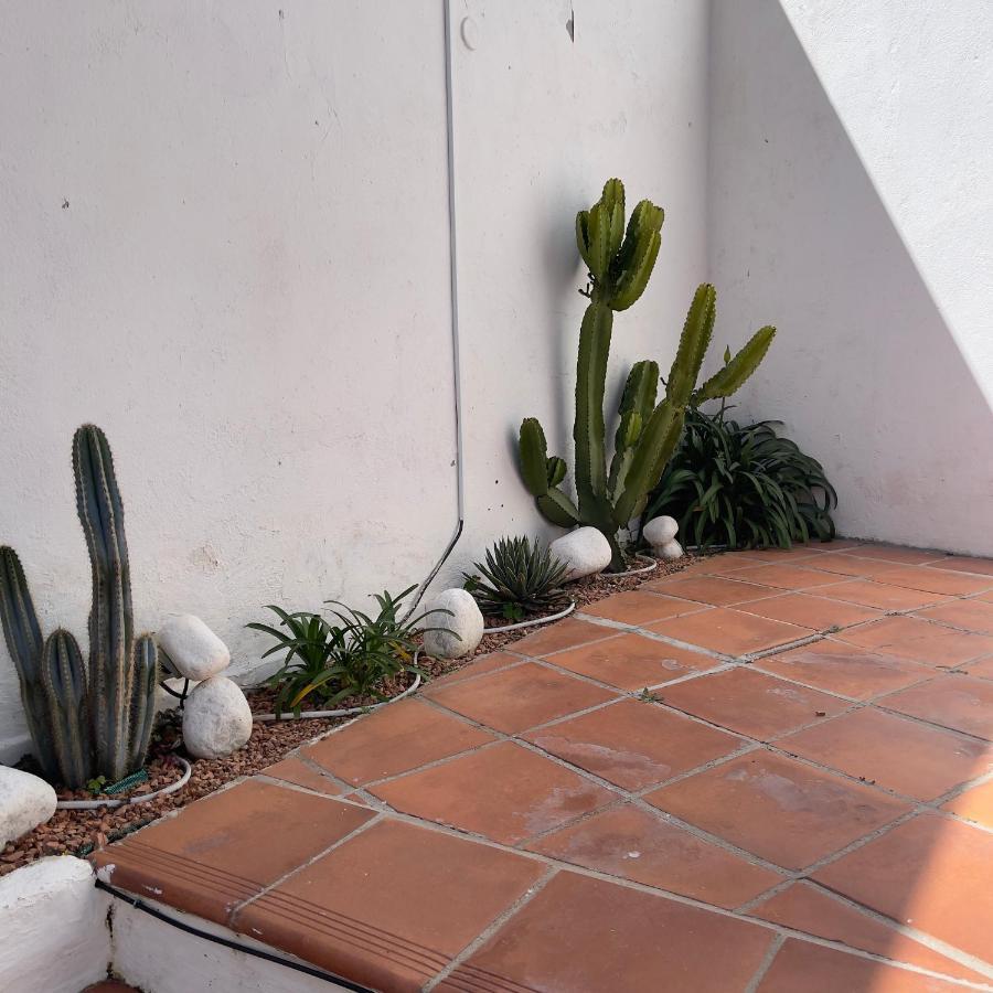 Terra Aloe Pensión