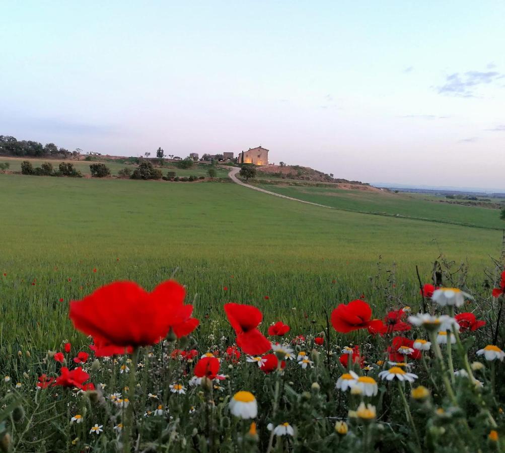 Masia De Queralt Luxury Con Y Vistas
