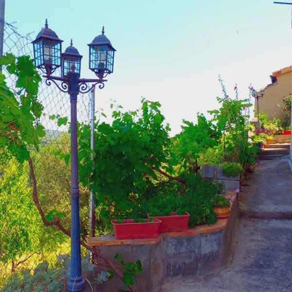 Casa Mata Apartment *
