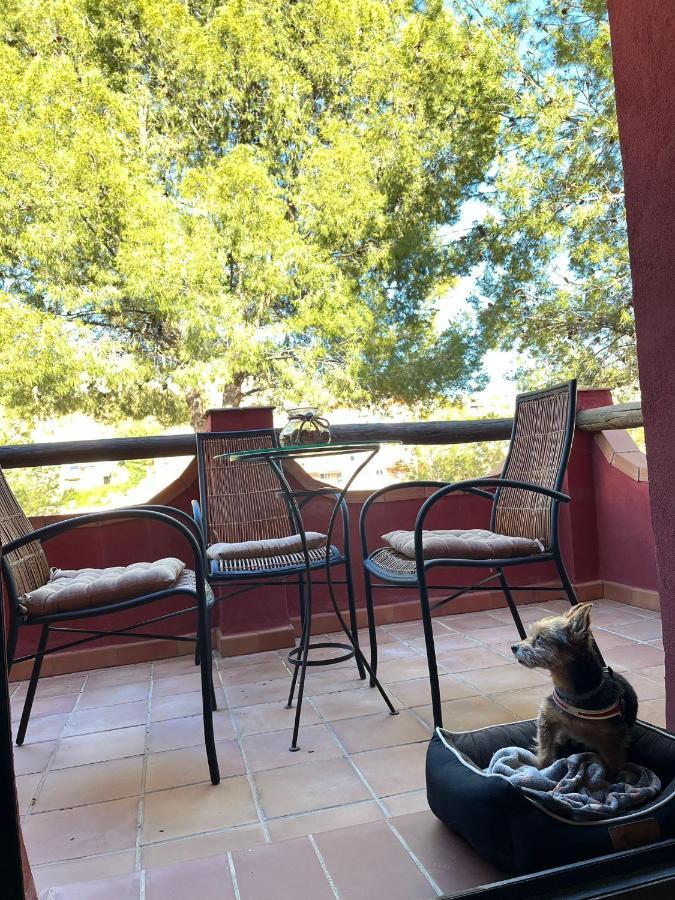 Hotel Boutique Cerro Del Sol Adults Only Recommended