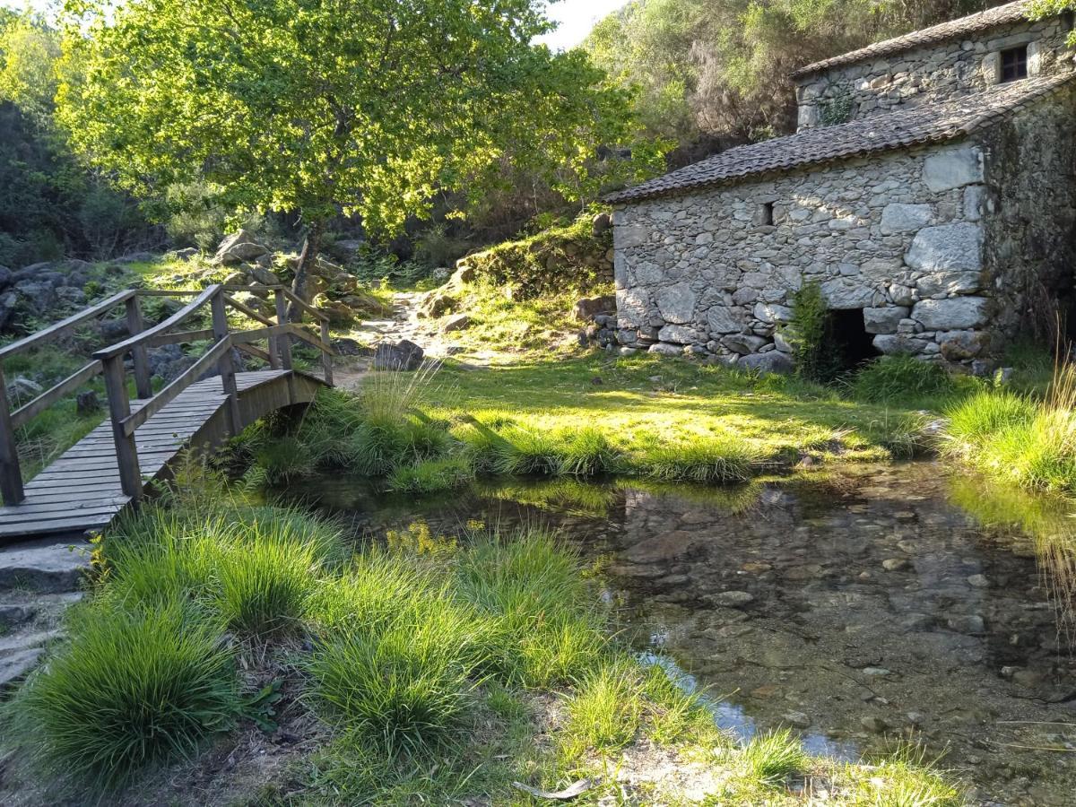 Mirabel Apartamento
