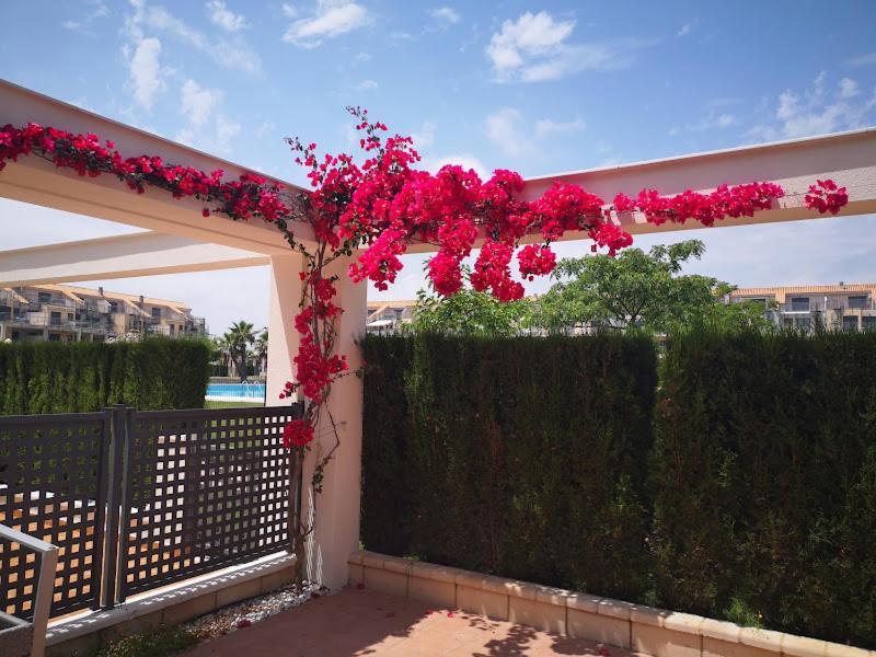 Apartment Confort, Rez-de Chaussee,3 Chambres, 2 Salles De Bain San Jorge (Castellon)