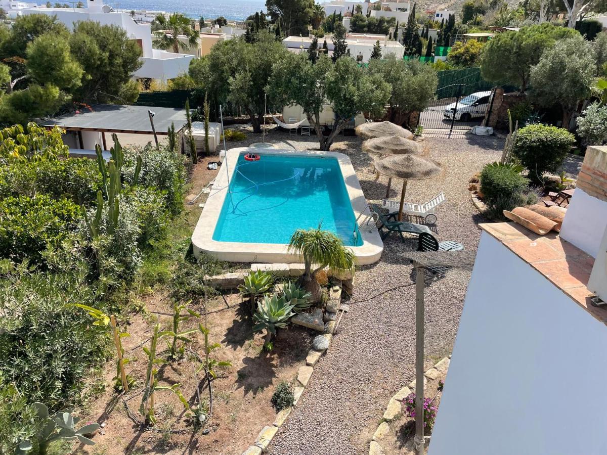 La Washingtonia Apartment Las Negras