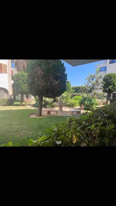 Estudio Montanar A 50 Metros Del Mar Javea