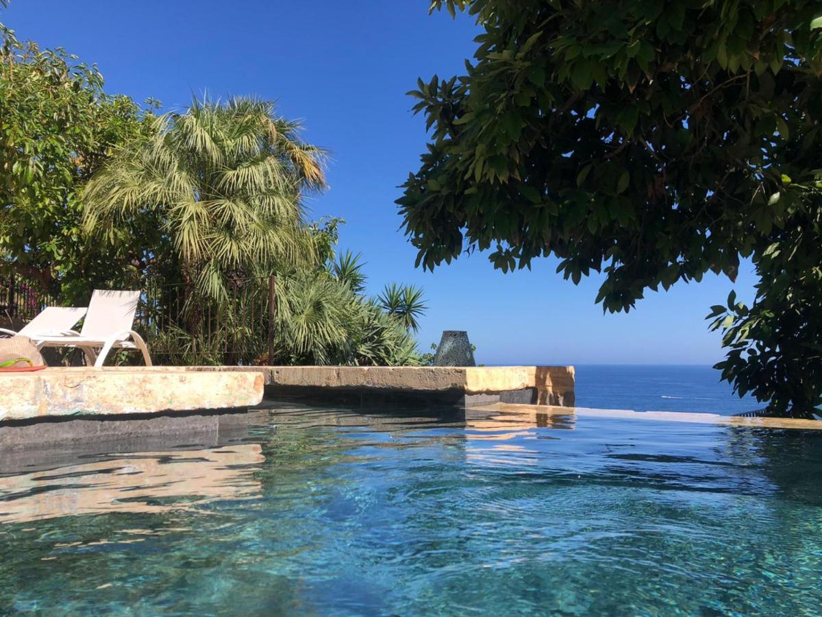 Bed & Breakfast El Jardin Botanico Luz