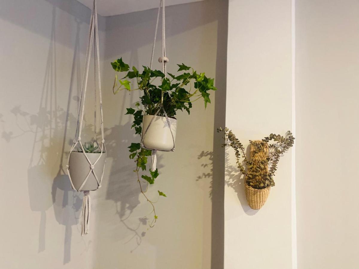 Apartamento Acogedor En El Casco Viejo