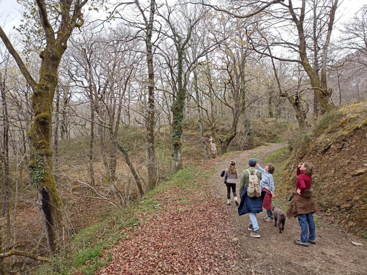Сasa de vacaciones Amplia Y Cómoda Casa De Piedra Con Porche Y Jardín