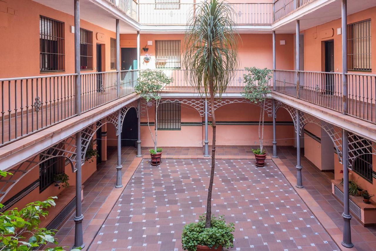 Alohamundi Arjona Ii * Seville
