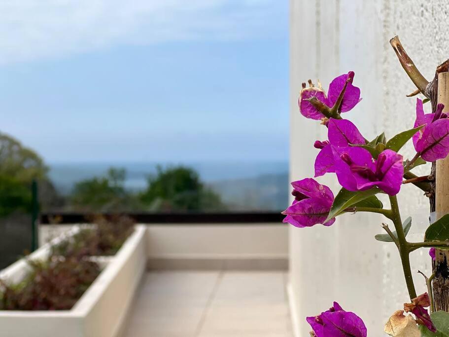 Apartment Puerta De Comillas