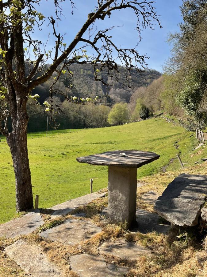 Apartamento Casa Freixe Rurales *
