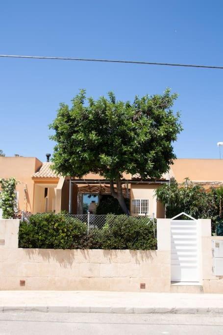 Apartamento Idyllisches Ferienhaus Mit Gemeinschaftspool & Ruhiger Meerlage