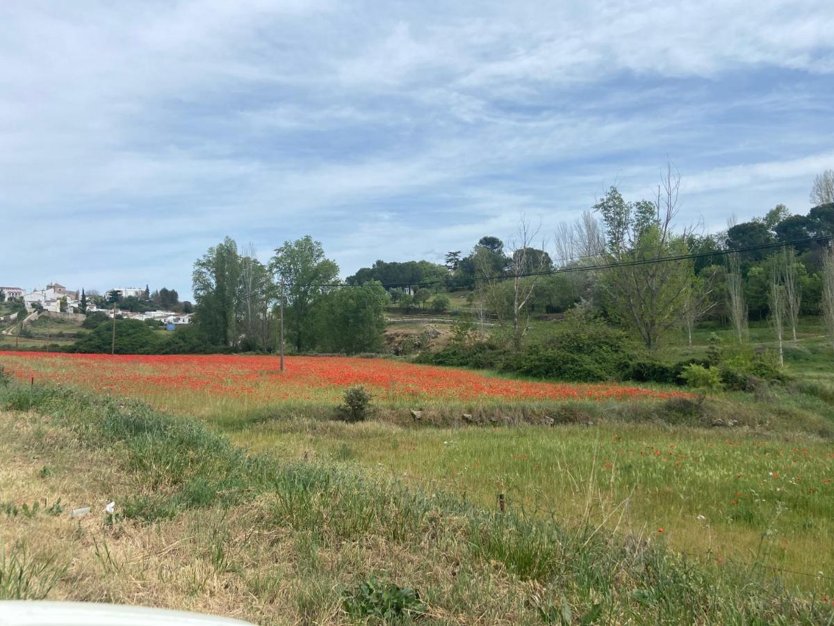 Apartamento Rural Casa Monte Apartment *
