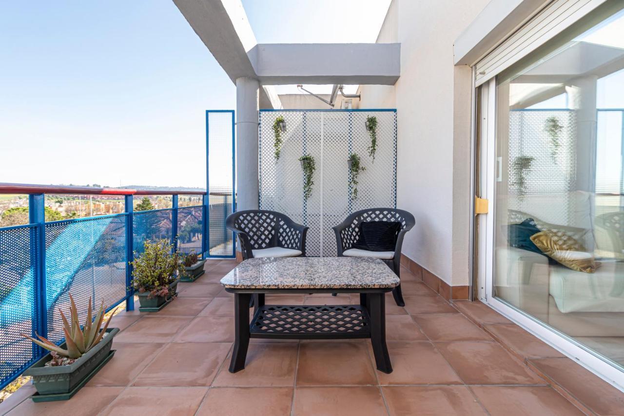 Estudio Sur - Terraza