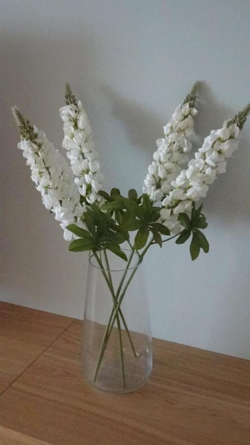 Apartamento Seasight Calaceite *