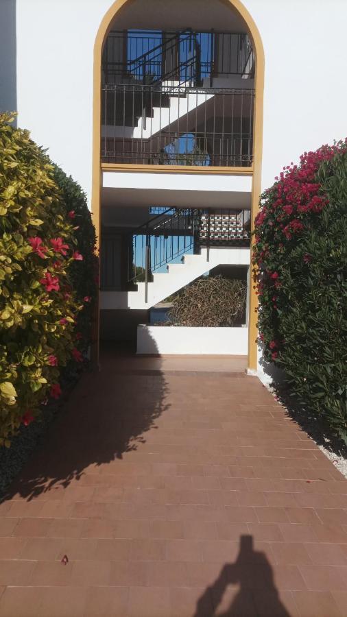 La Zenia Molino Blanco Apartamento *
