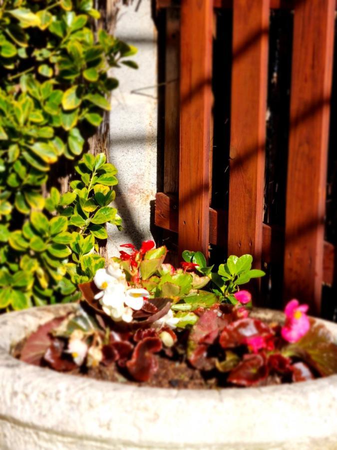 Holiday home Ca La Pauleta Sant Hilari Sacalm