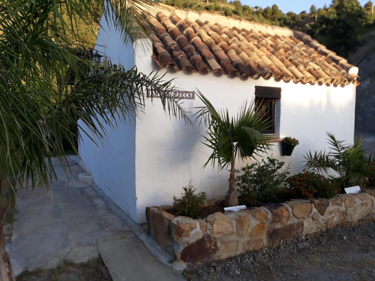 Tiny House 12m2 In With 55 M2 Pool Holiday home *