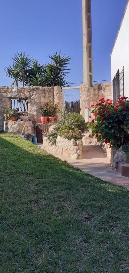 Carme De Nelis Holiday home Deltebre