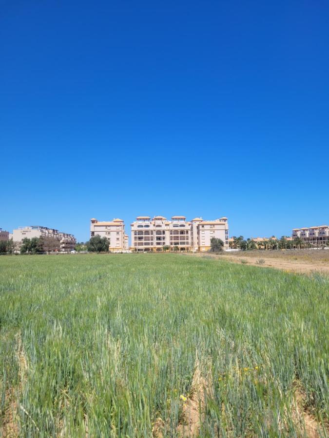 Apartment Palmerita 5 Mar de Cristal