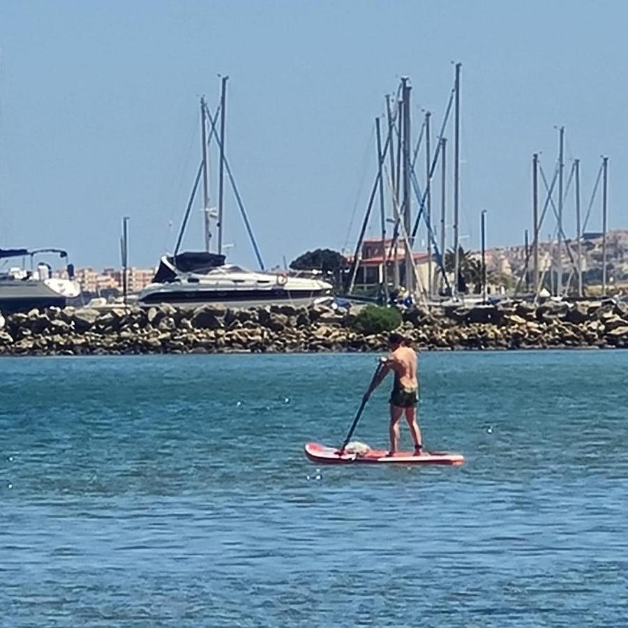 Palmerita 5 *