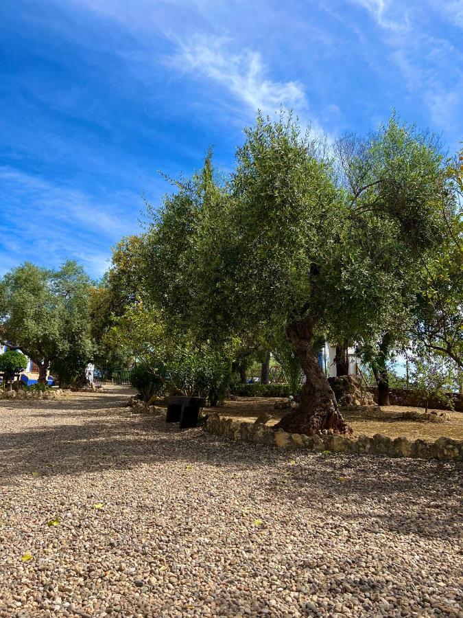 Complejo Rural Mirador De La Alcaidía Сasa de vacaciones *