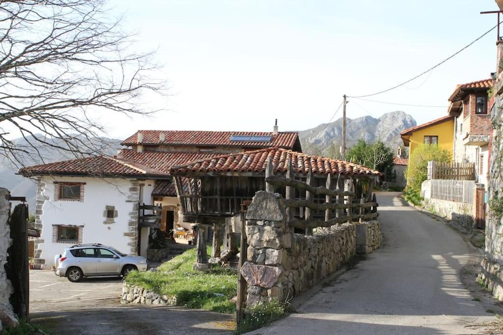 El Naranjo *