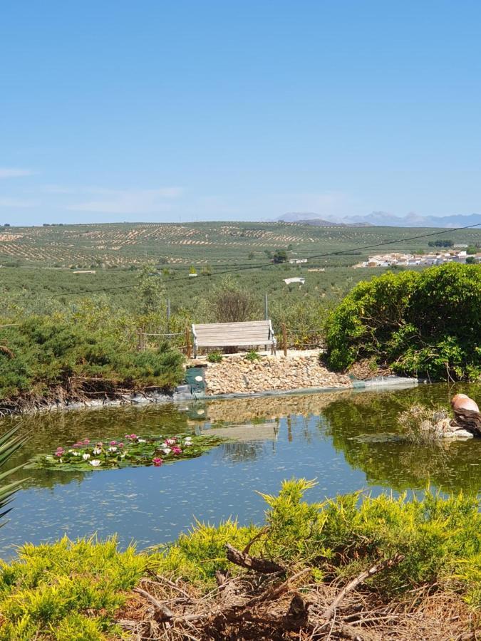 Bed and breakfast Casa Olivar *