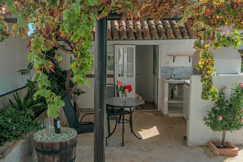 Tiny House 12m2 In With 55 M2 Pool *
