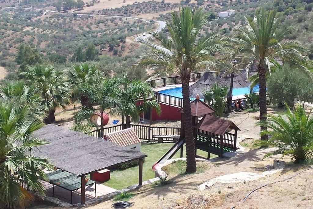 Tiny House 12m2 In With 55 M2 Pool Holiday home