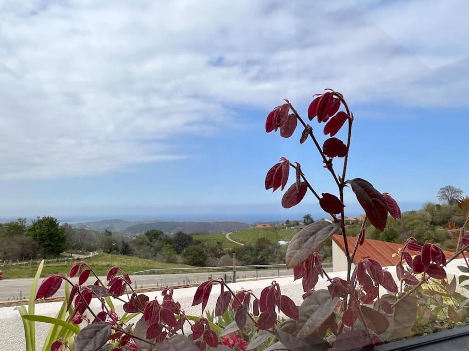 Apartment Puerta De Comillas Canales (Cantabria)