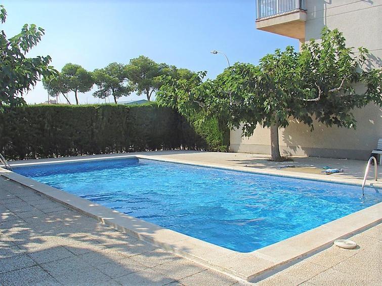 Holidays Penthouse: Panoramic Port Views With Free Wifi & Parking Apartment *