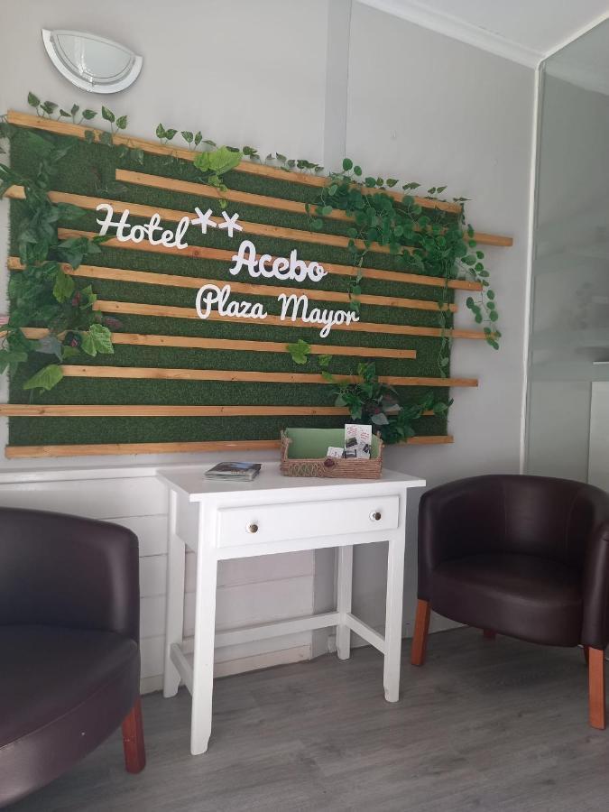 Hotel Acebo Plaza Mayor