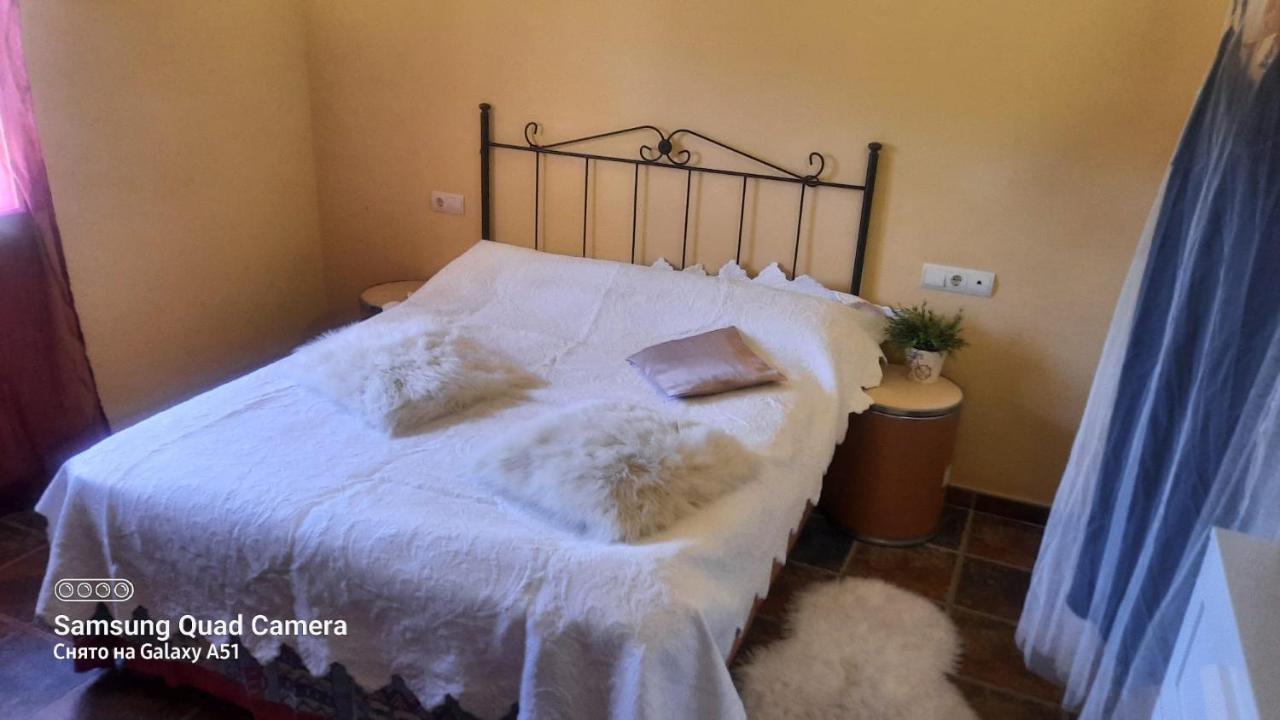 Guest house A In A Private