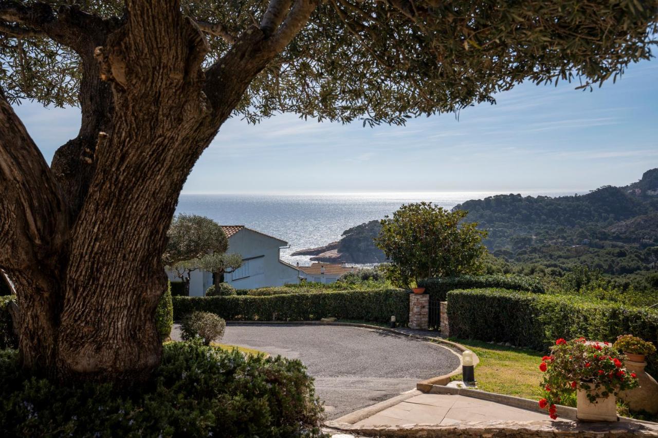 Apartment Alta House Sa Blava *