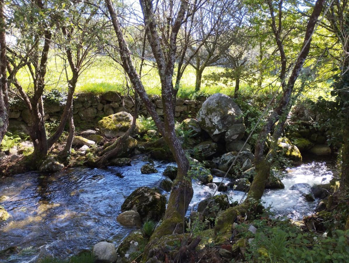 A Beira Da Cortella Holiday home