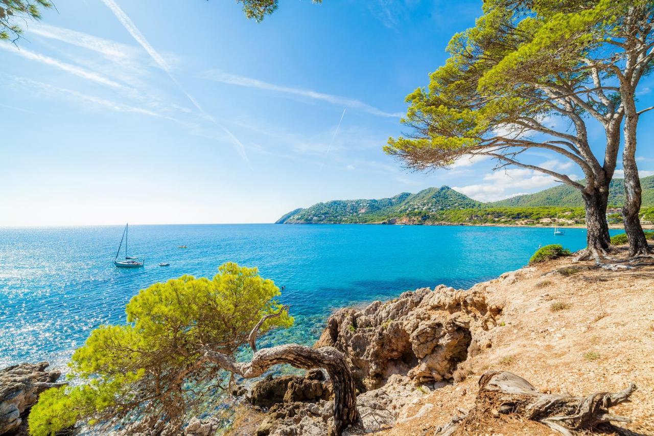 Oro Del Mar Iv 05
