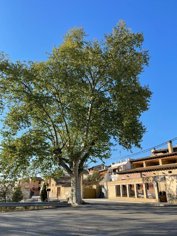 El Rincon De Tono Guest house Pomar (Aragon)