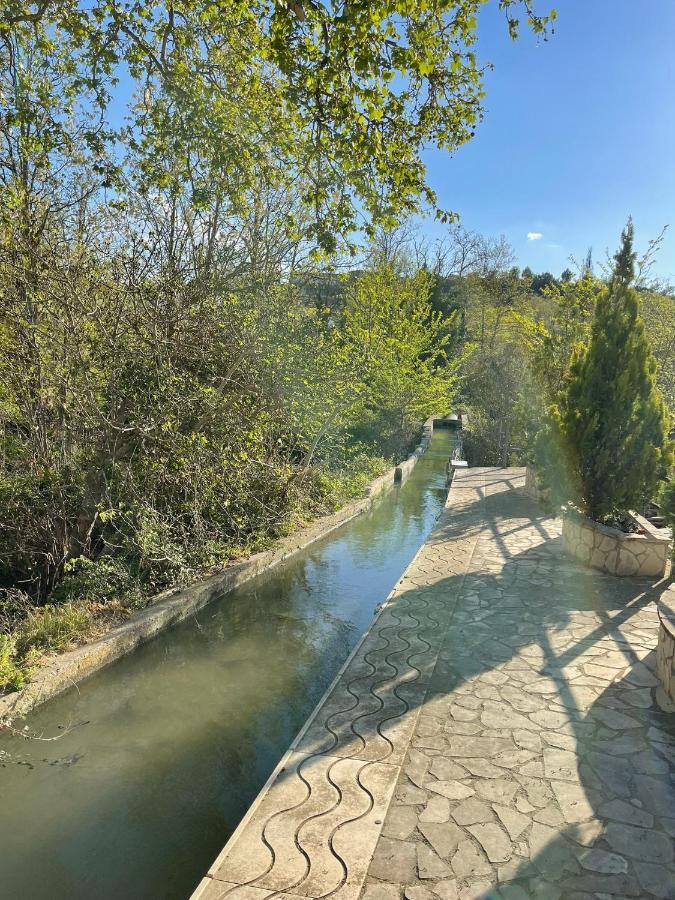El Rincon De Tono