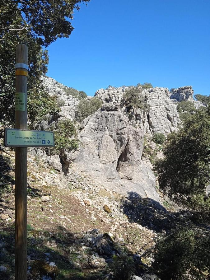 Guest house La Sierra *