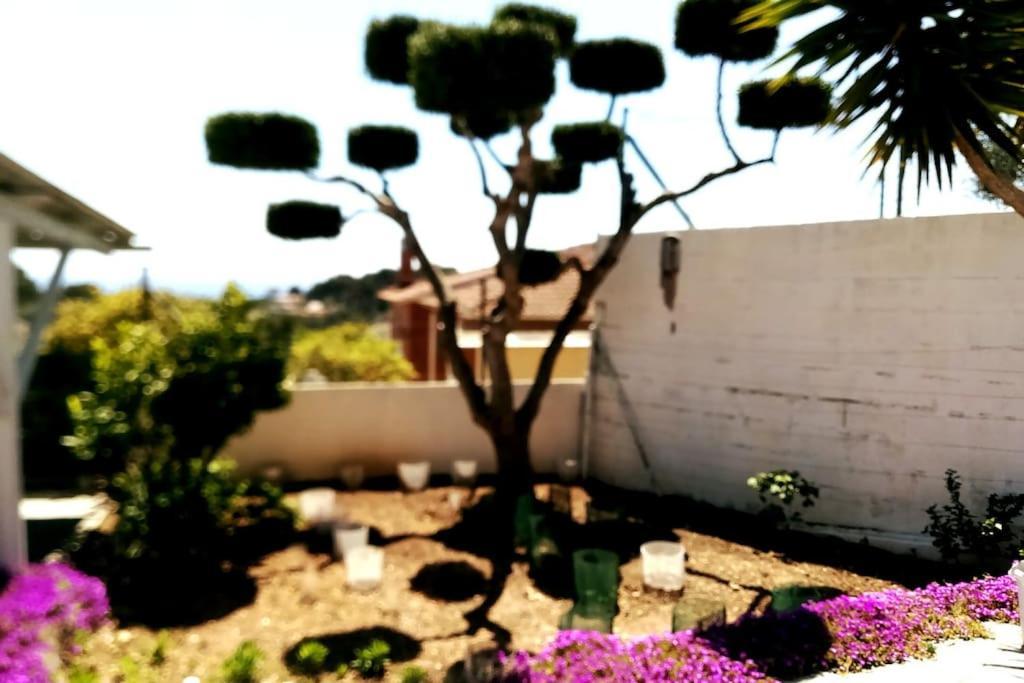 Casa Vacacional * Bellvei del Penedes