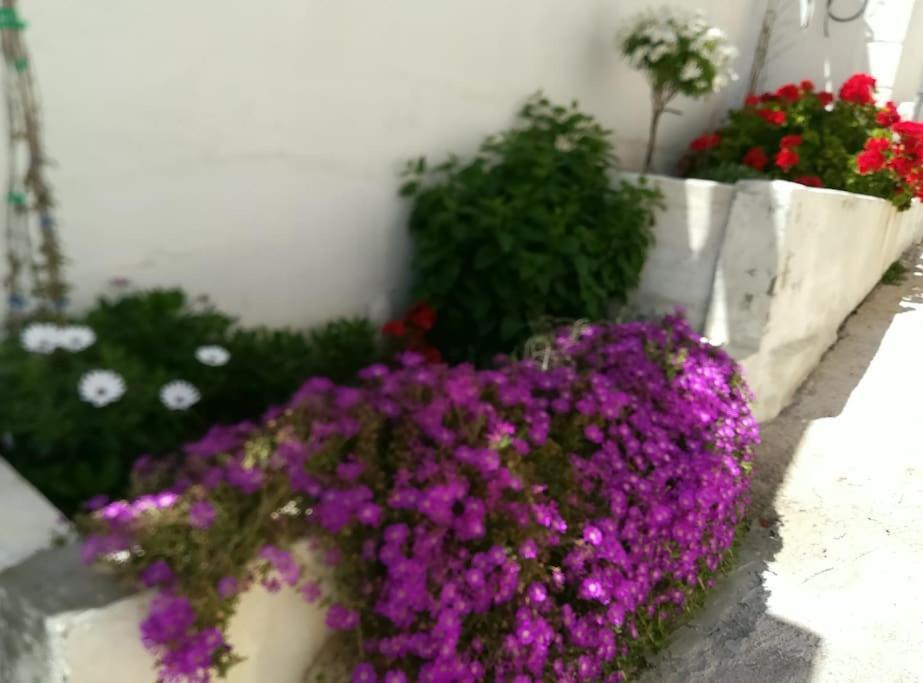 Casa Vacacional Holiday home