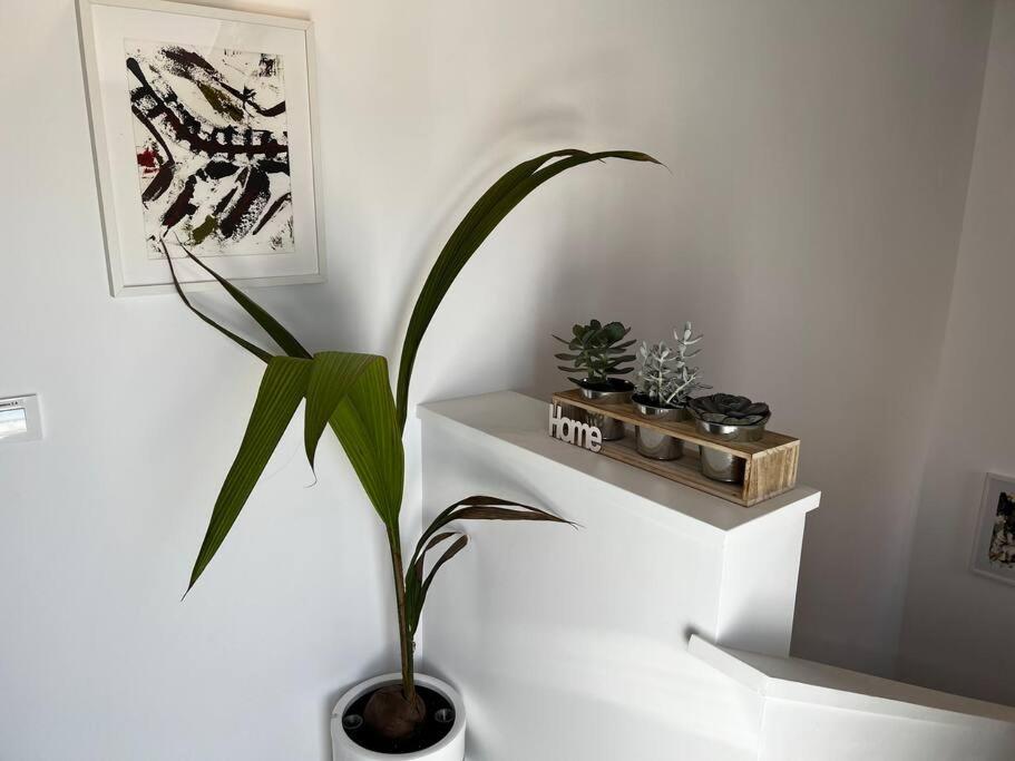 Apartment 2b-precioso En Pleno Centro. A Estreno *